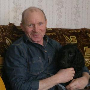 Парни в Салехарде: Андрей, 63 - ищет девушку из Салехарда