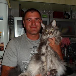 Михаил, 41 год, Ярославль