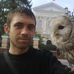 Григорий, 39 лет, Шатки