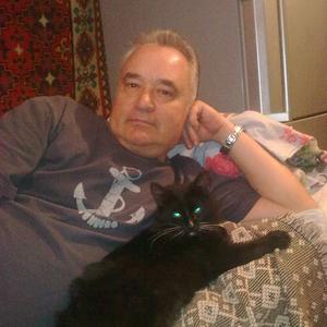 Андрей, 66 лет, Саратов
