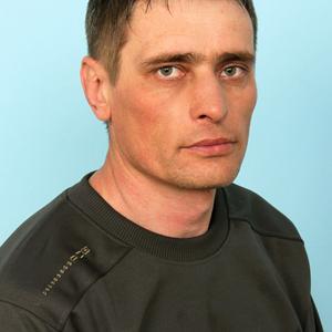 Андрей Абрамов, 53 года, Хабаровск