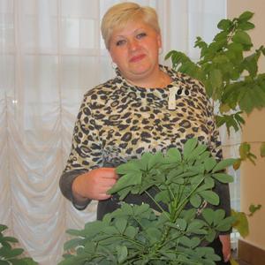 Галина Циглер, 54 года, Иваново