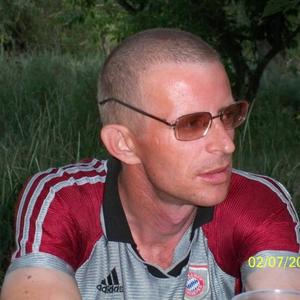 Николай Скулачев, 46 лет, Самара