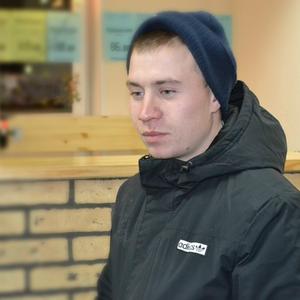 Антошка Гришин, 34 года, Челябинск