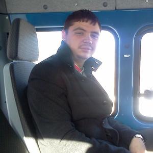 Парни в Череповце: Александр Винрградов, 33 - ищет девушку из Череповца