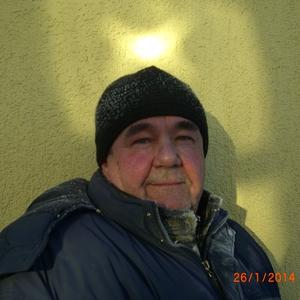Александр Таран, 66 лет, Ялуторовск