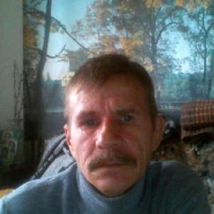 Андрей Быстров, 60 лет, Нижний Тагил