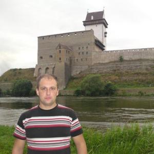 Владимир Масленников, 41 год, Ивангород
