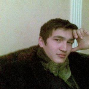Begzod, 35 лет, Ташкент