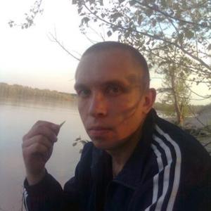 Парни в Бийске: Николай, 38 - ищет девушку из Бийска