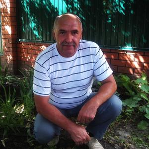 Владимир, 60 лет, Белгород