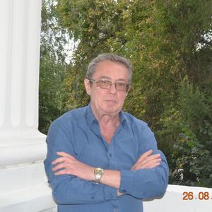 Шамиль, 67 лет, Казань