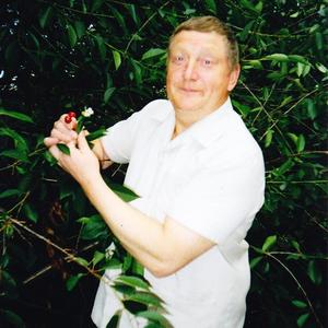 Алесандр, 69 лет, Ярославль