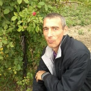 Виктор Купчинский, 52 года, Советск