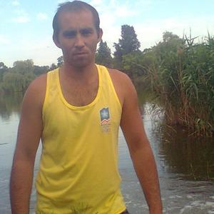 Артем Калашников, 42 года, Краснодар