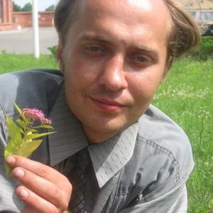 Николай, 41 год, Советск