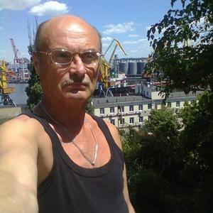 Сергей Терехин, 68 лет, Санкт-Петербург