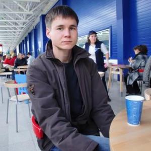 Айнур, 39 лет, Казань