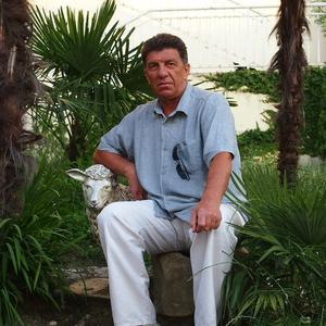 Александр Богданов, 63 года, Иркутск