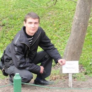 Антон, 35 лет, Москва