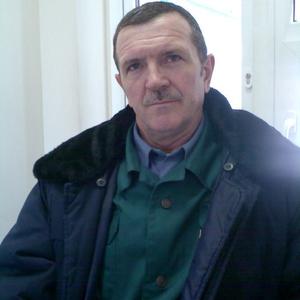 Александр Понамарёв, 66 лет, Волгоград