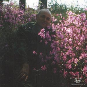 Вячеслав, 69 лет, Воронеж
