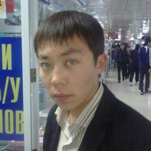 Шалкар, 38 лет, Астана