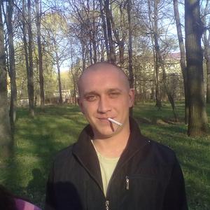 Роман Стругаев, 41 год, Брянск