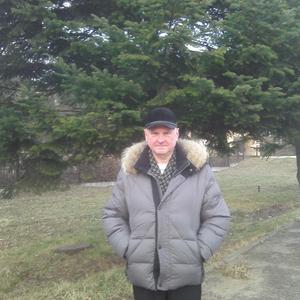 Парни в Старый Осколе: Борис, 65 - ищет девушку из Старый Оскола