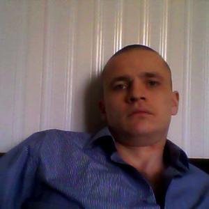 Роман, 39 лет, Калининград