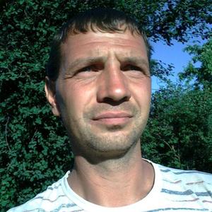 Дмитрий, 44 года, Нижний Новгород