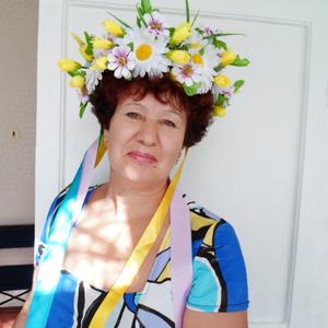 Irina, 75 лет, Хабаровск