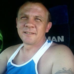 Владимир, 45 лет, Ленинградская