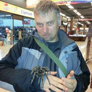 Денис, 44 года, Иваново