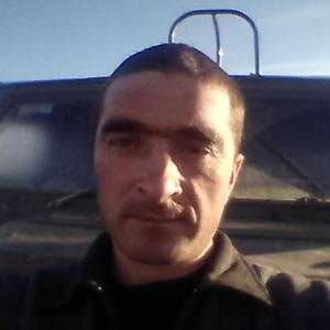Алексей Кочетков, 47 лет, Самара