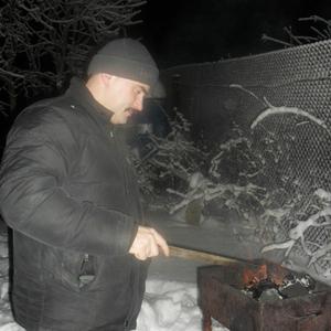 Вячеслав, 49 лет, Электросталь