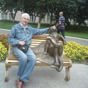 Владимир Королев, 70 лет, Самара