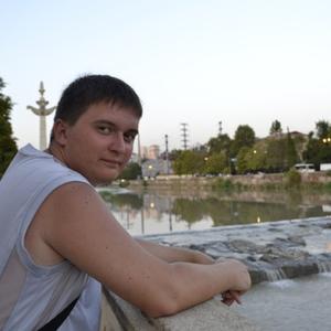 Владимир Половкин, 33 года, Новосибирск