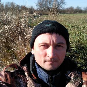 Парни в Боровский: Сергей, 50 - ищет девушку из Боровский