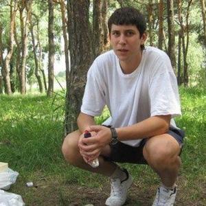Александр, 36 лет, Харьков