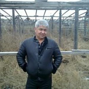 Ажкурбан, 52 года, Астрахань