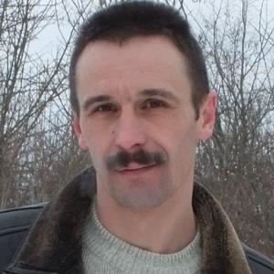 Александр, 52 года, Дмитров