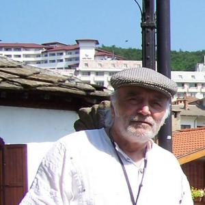 Борислав Войнов, 78 лет, Москва