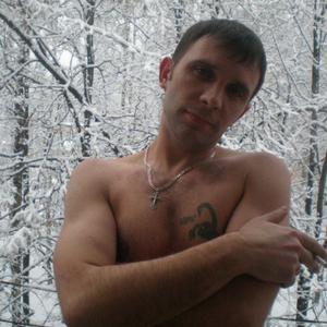 Владимир, 41 год, Щелково