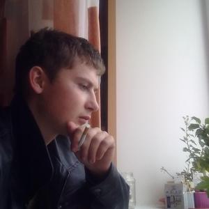 Антоха, 33 года, Владимир