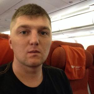 Андрей, 36 лет, Тула