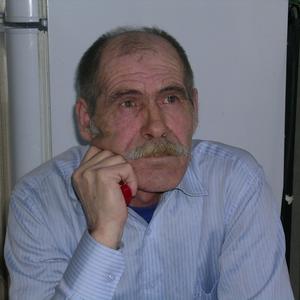 Николай, 74 года, Новосибирск