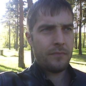 Андрей, 42 года, Дмитров