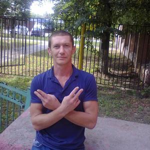 Владимир, 44 года, Краснослободск