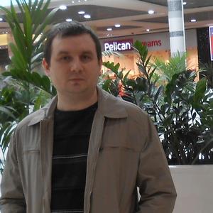 Сергей Лопин, 42 года, Курск